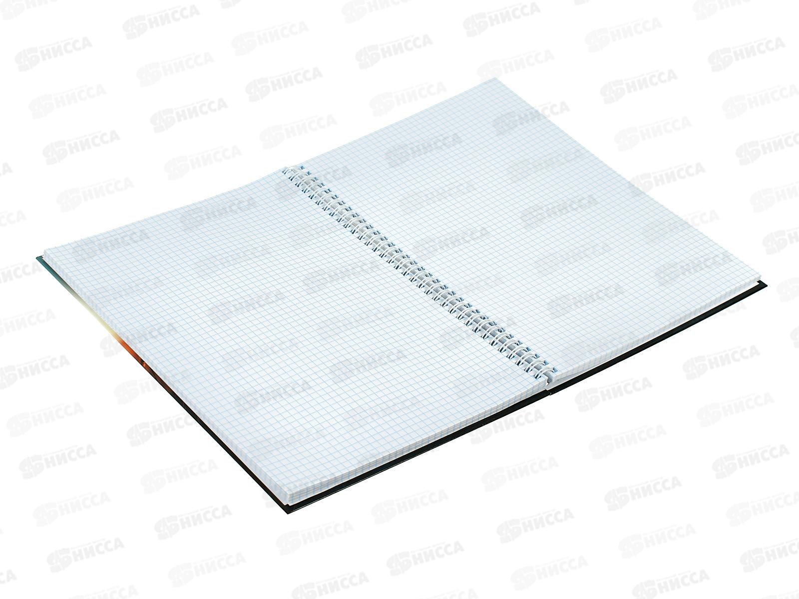 Записная книга ПП А4 120л Колоски, гребень, 120-1710