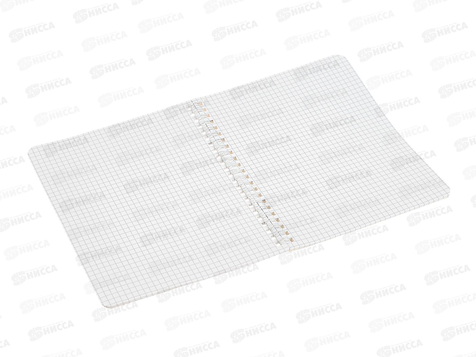 Тетрадь 48л кл. Hatber Узнай себя,087181*4/96