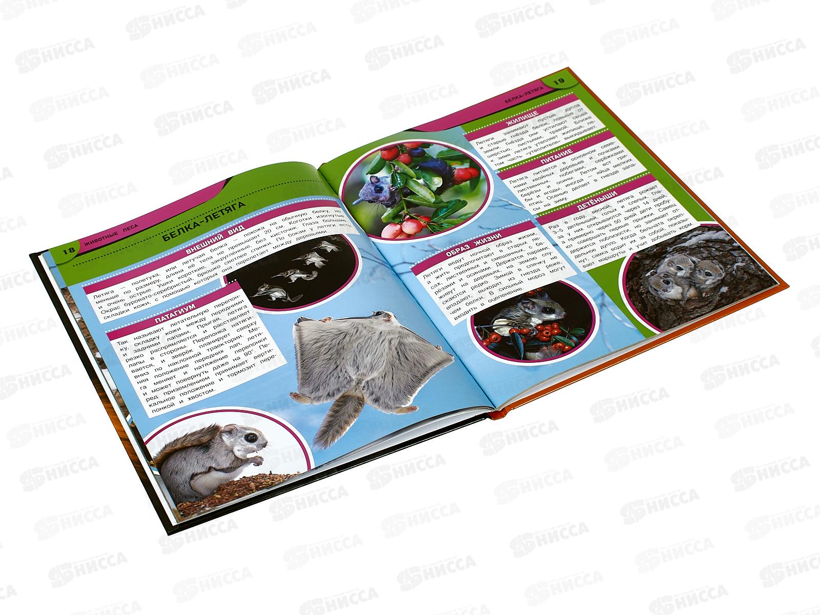 Энциклопедия 09108-0 Умка: Животные леса, 197х255мм, 48стр. *15