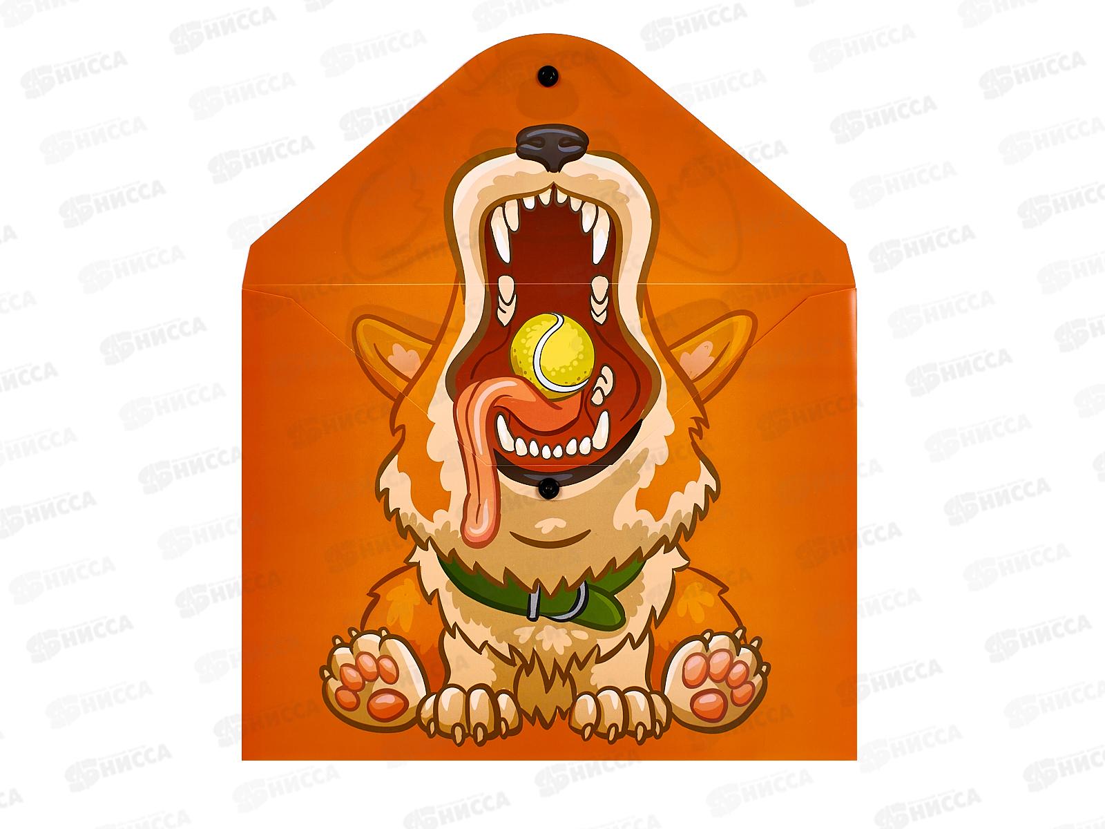 Папка с кноп. Centrum А4 Корги,74965 *10