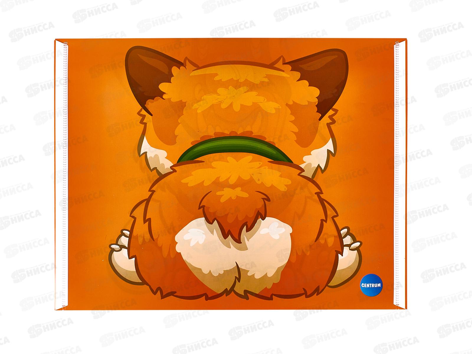 Папка с кноп. Centrum А4 Корги,74965 *10