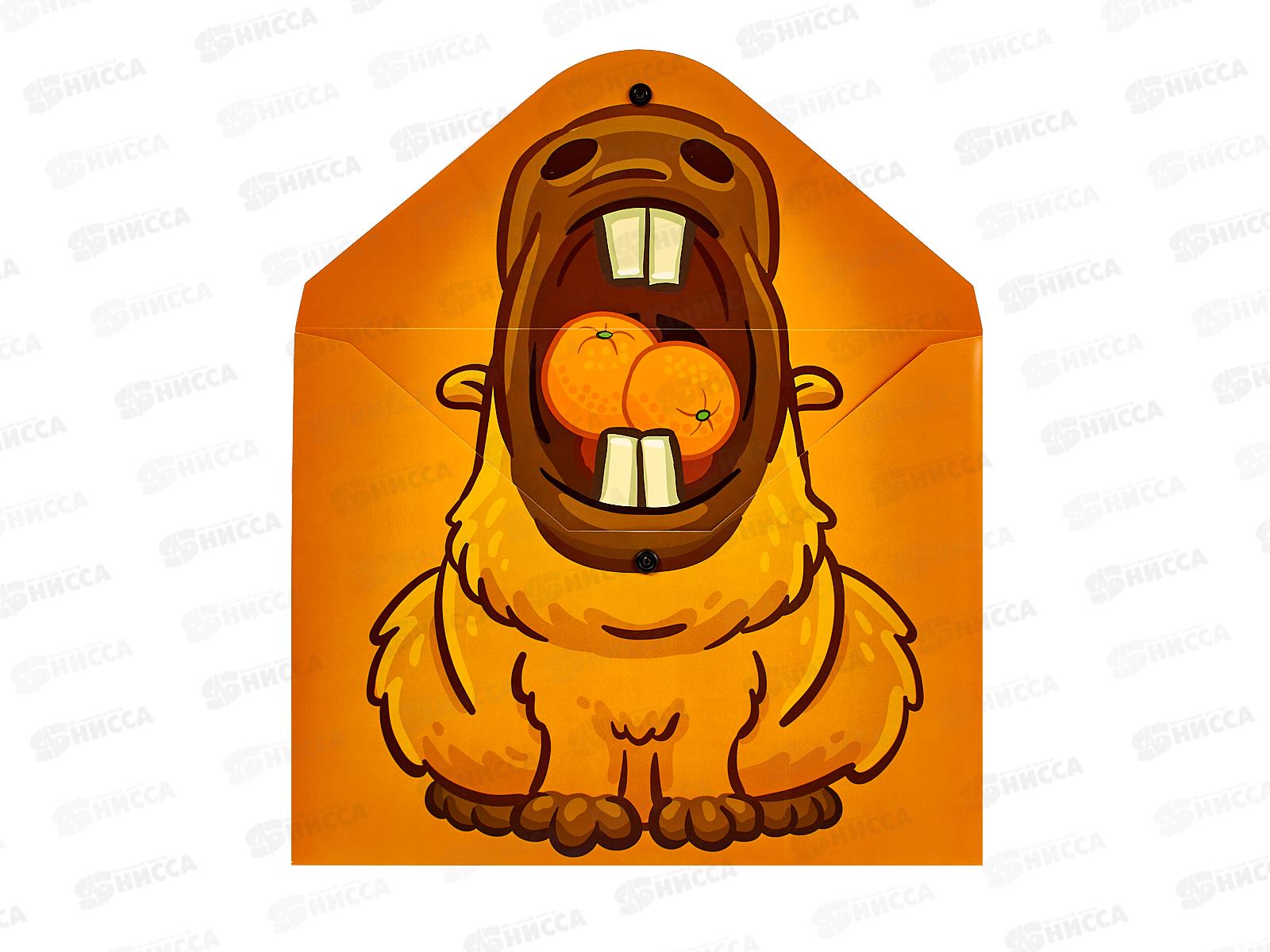 Папка с кноп. Centrum А4 Капибара,74964 *10