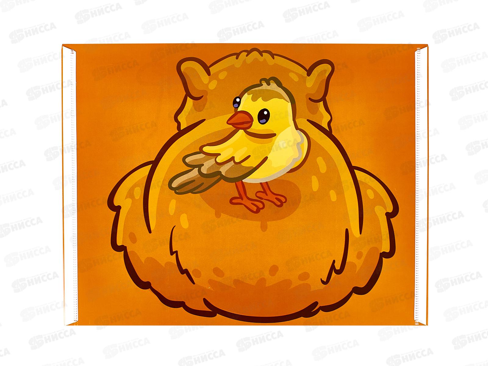 Папка с кноп. Centrum А4 Капибара,74964 *10