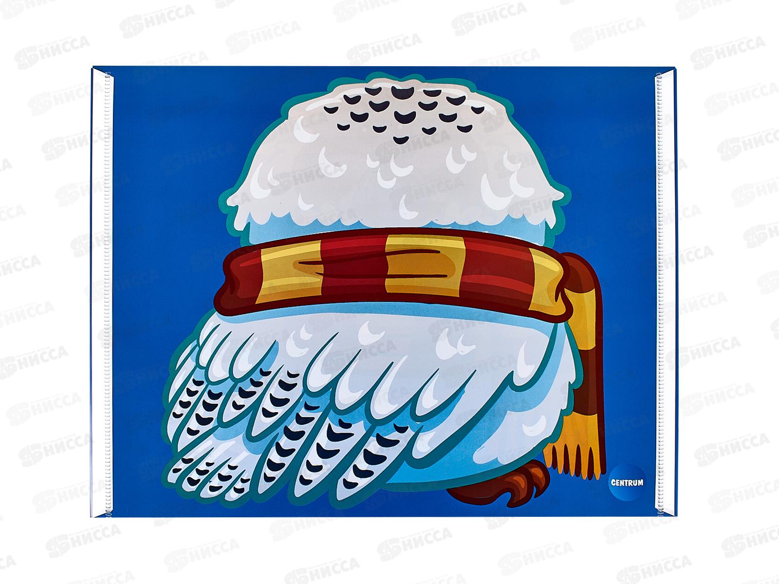 Папка с кноп. Centrum А4 Сова,75708 *10