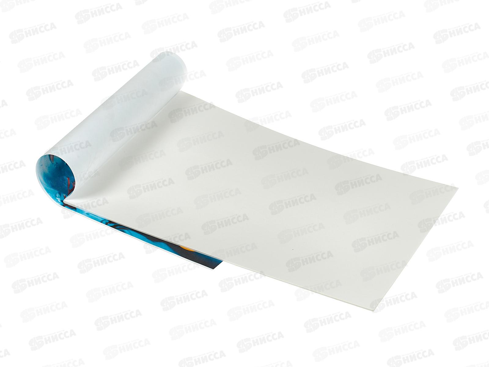 Альбом д/рис.12л Апплика,Девочка и рыбка,С1009-41 *80