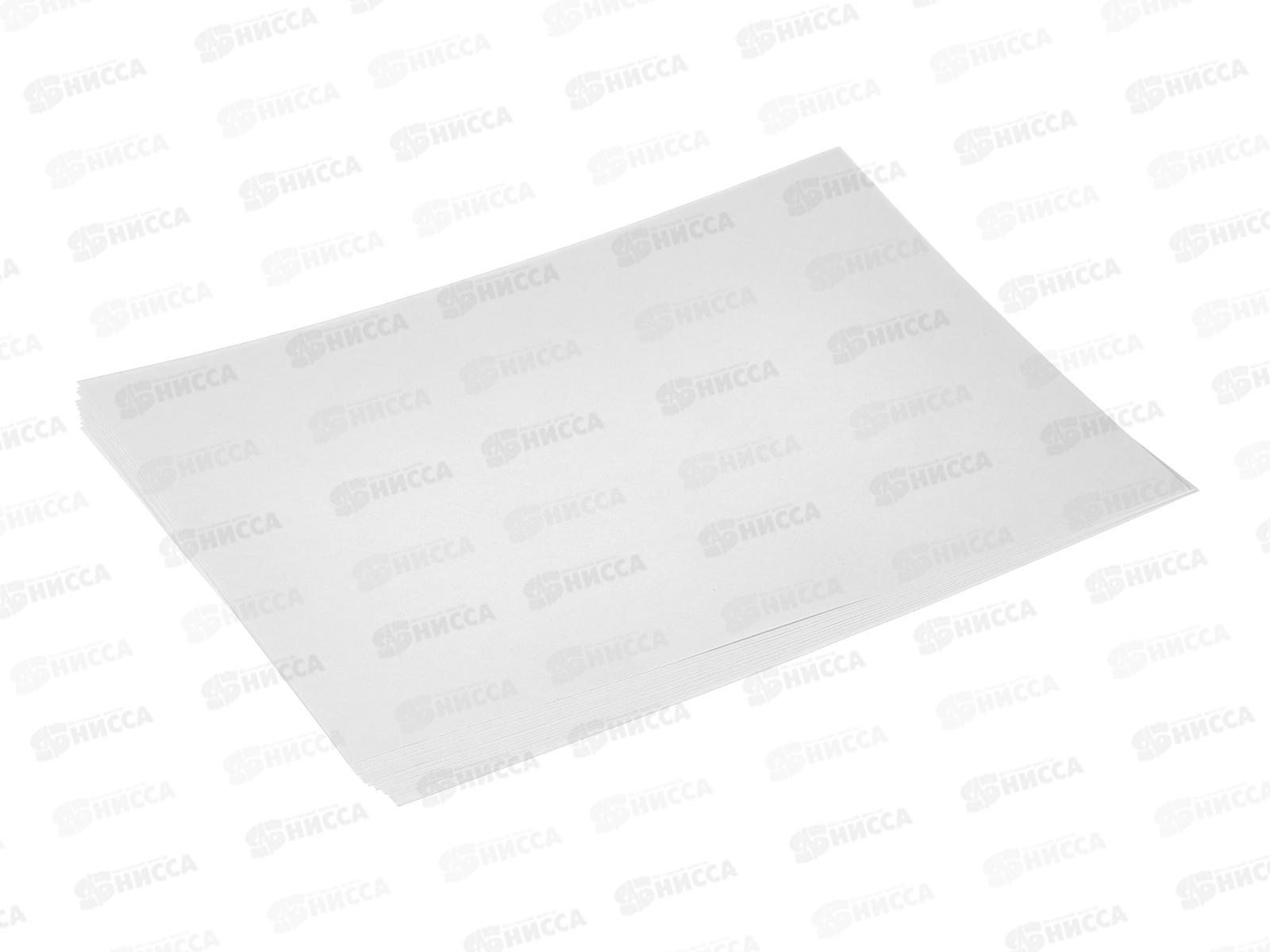 Папка д/акварели А4 10л Апплика +2эскиза Цветы, С9111-01