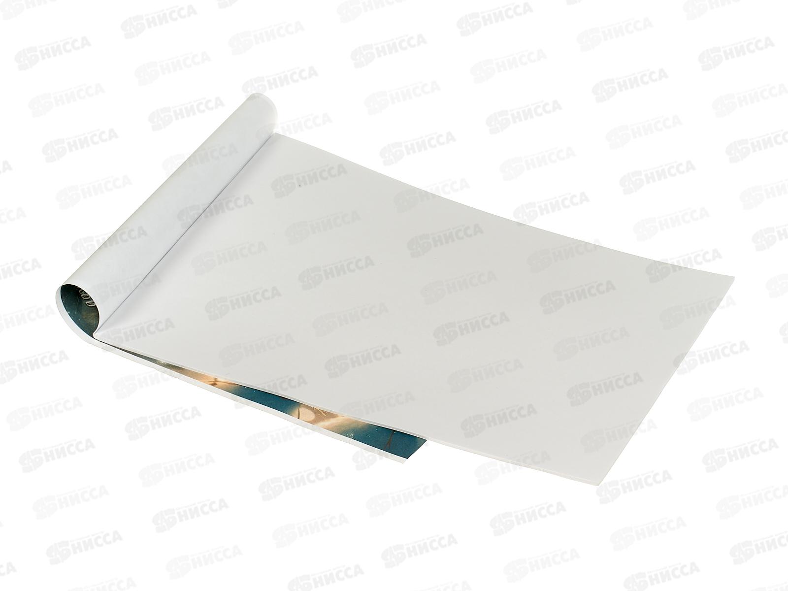 Альбом Раскраска  Апплика 20л Сказочный бал С2951-20