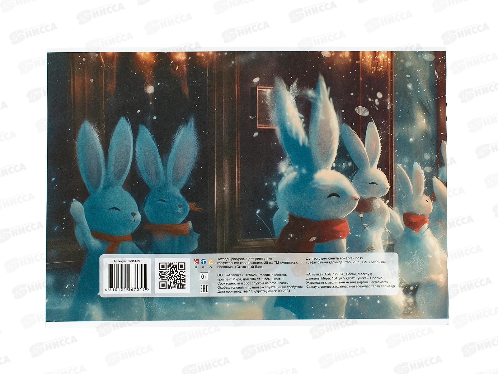 Альбом Раскраска  Апплика 20л Сказочный бал С2951-20