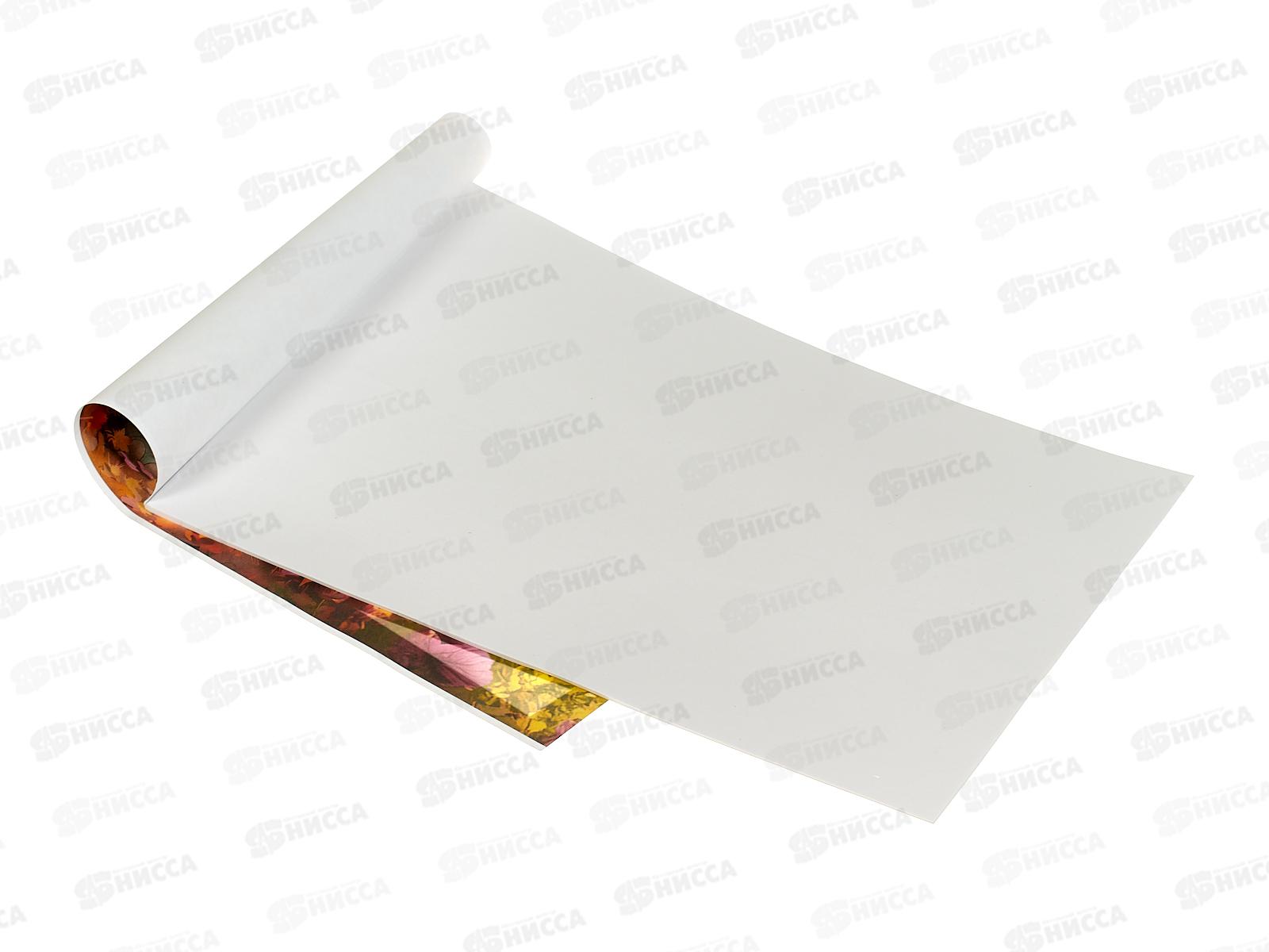 Альбом Раскраска  Апплика 20л Слоненок С2951-18