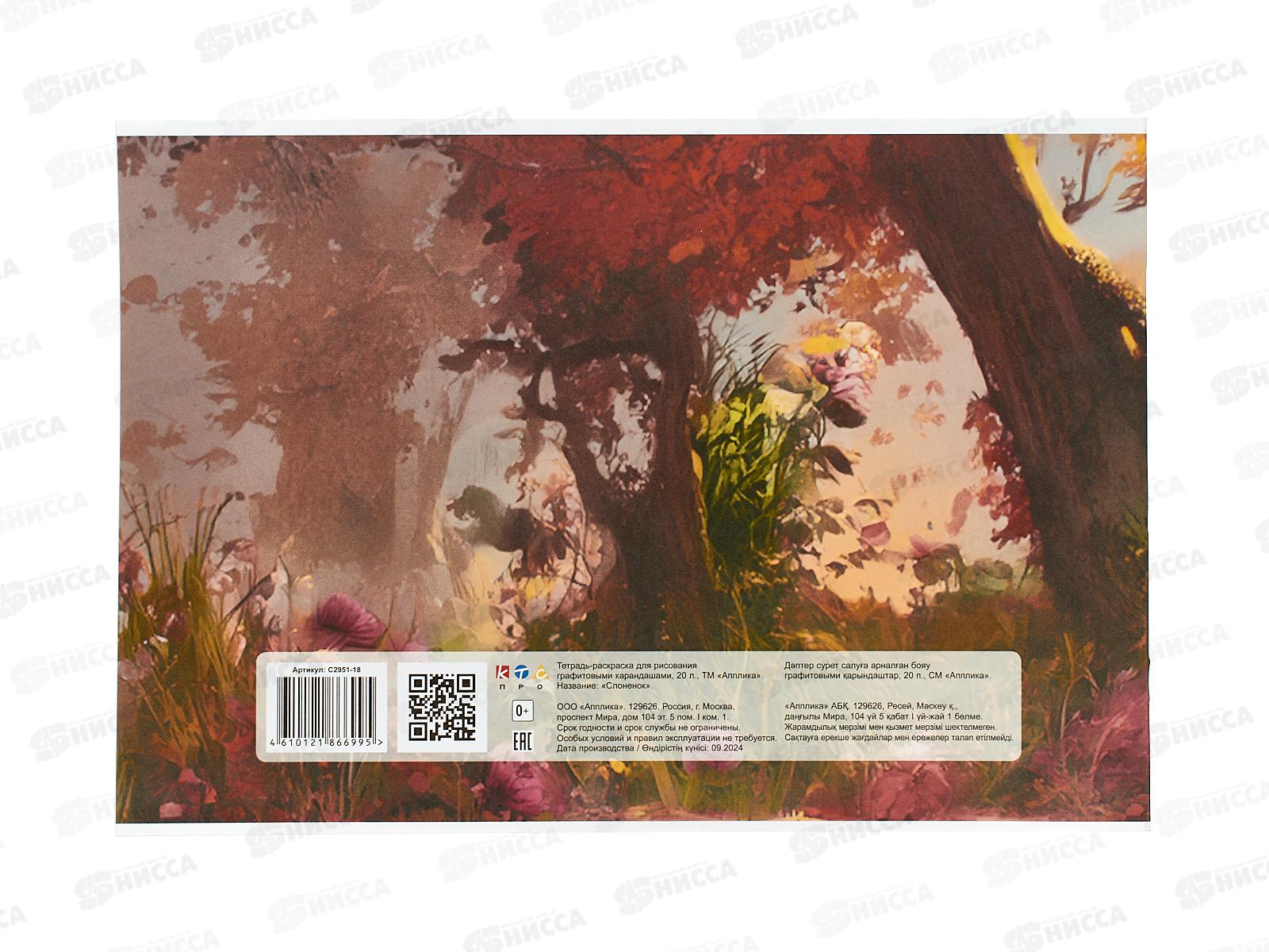 Альбом Раскраска  Апплика 20л Слоненок С2951-18