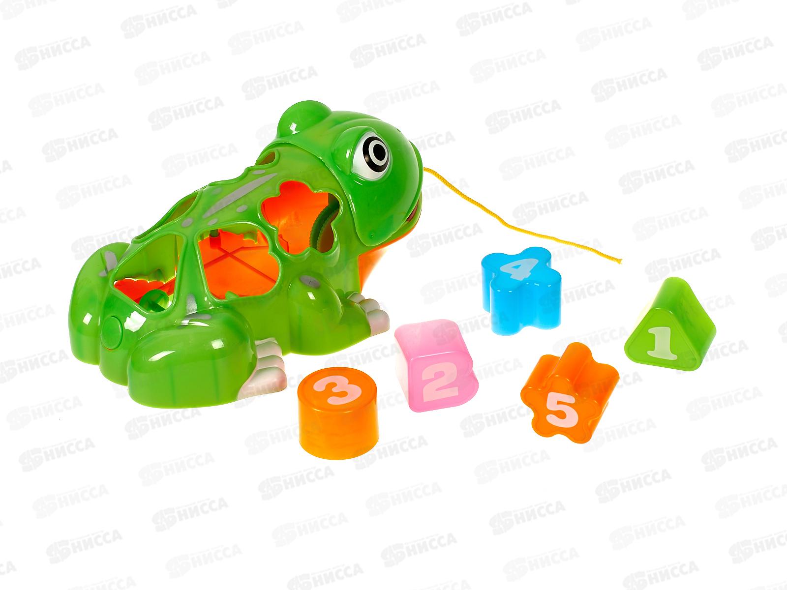 Каталка-сортер №2311, сетка 24*16*10