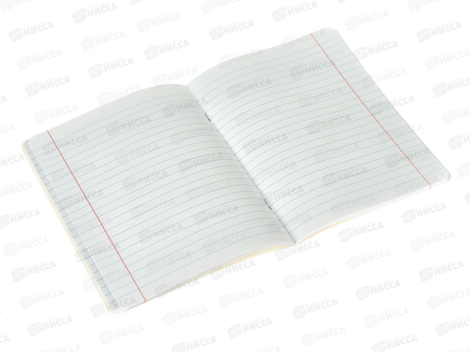 Тетрадь 48л лин. BG Чудесный сад,63528*5/60