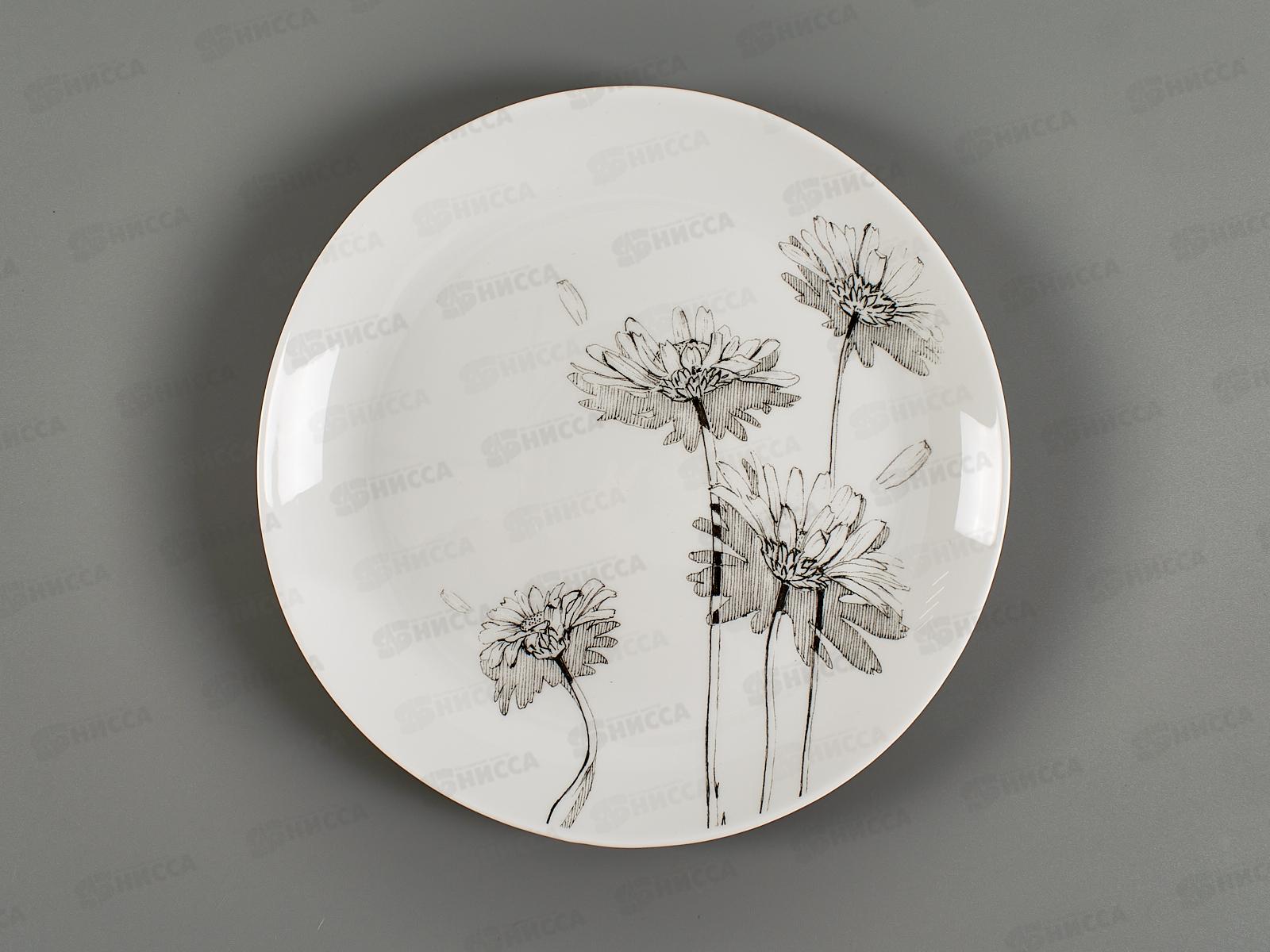 Тарелка обеденная Вдохновение 24см LQP95/K2412