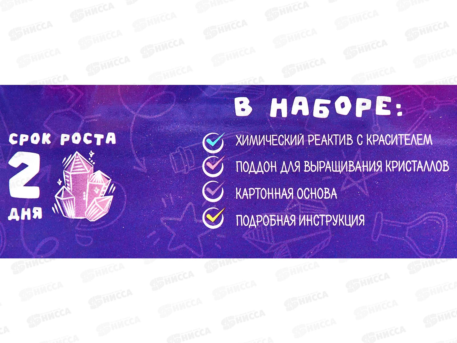 Набор для творчества Кристальные миры Аметист Лкв-001, Фин-ти-Флю  *16