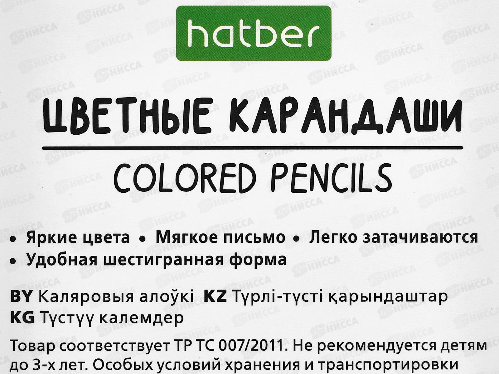Карандаши 12цв Hatber Плюшевые панды &quotECO&quot 087797 *12/240
