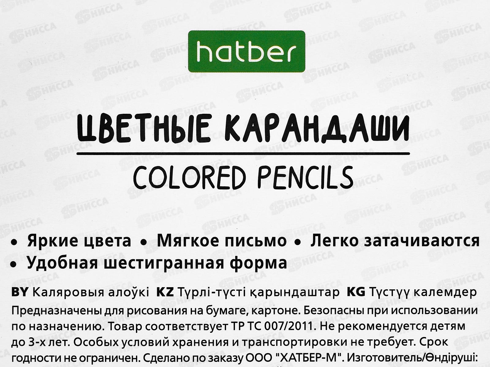 Карандаши 24цв Hatber Плюшевые панды &quotECO&quot 087799 *12/120