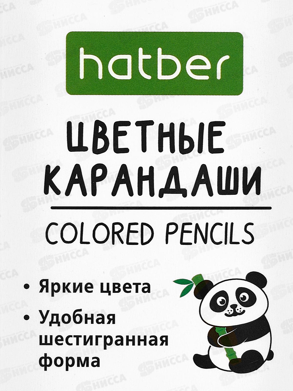 Карандаши  6цв Hatber Плюшевые панды &quotECO&quot 087796 *24