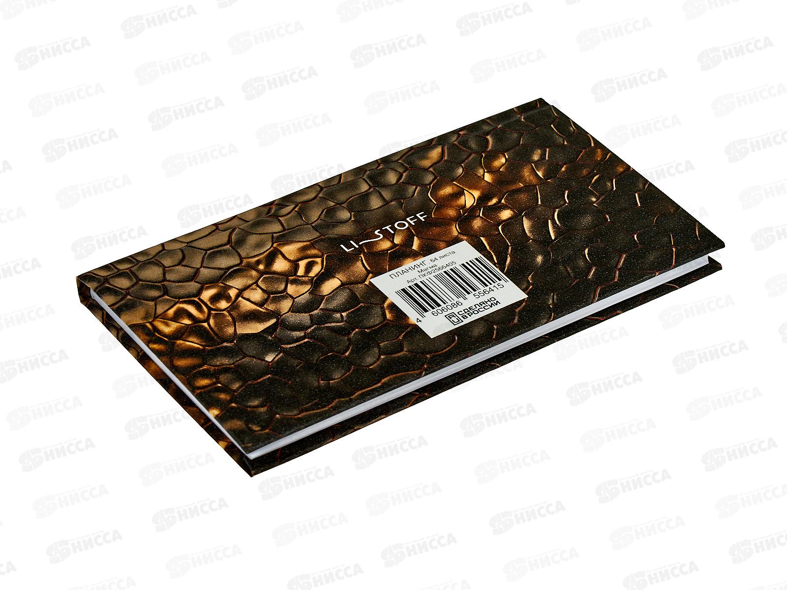 Планинг ЭКСМ 64л Магма, ламин, серебро, ПКФ2566405