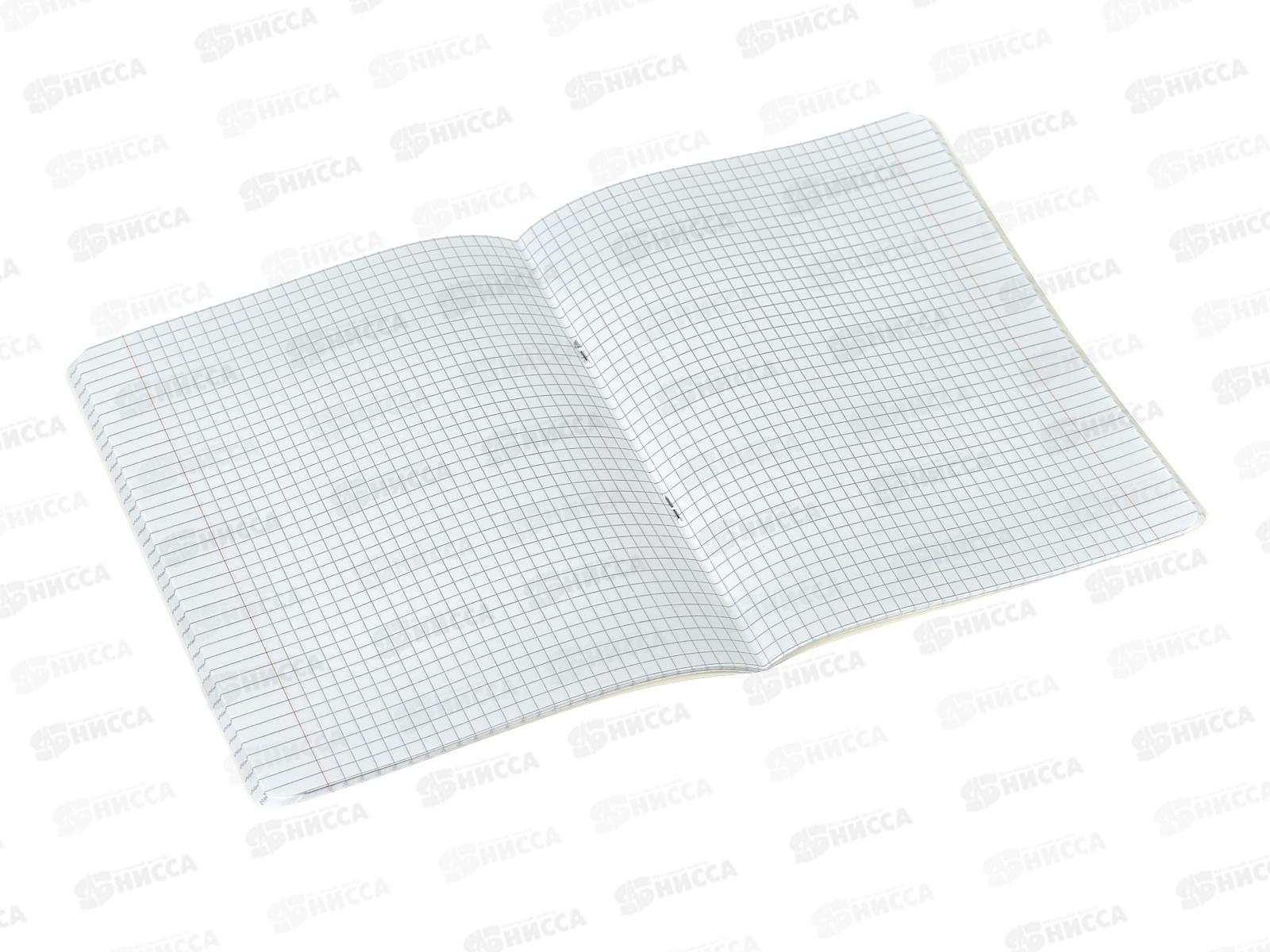 Тетрадь 48л кл. ЭКСМ Панда Катюша ТКК489300 *10/100