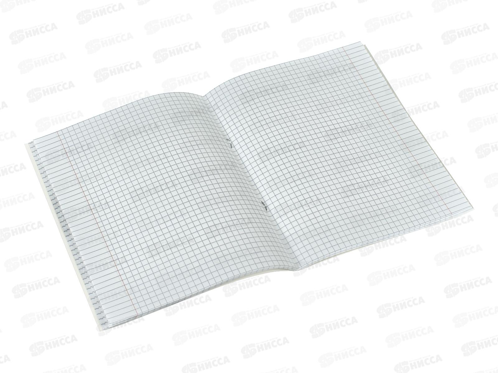 Тетрадь 48л кл. ЭКСМ Привет, я Моль! ТККЛ489198 *10/100