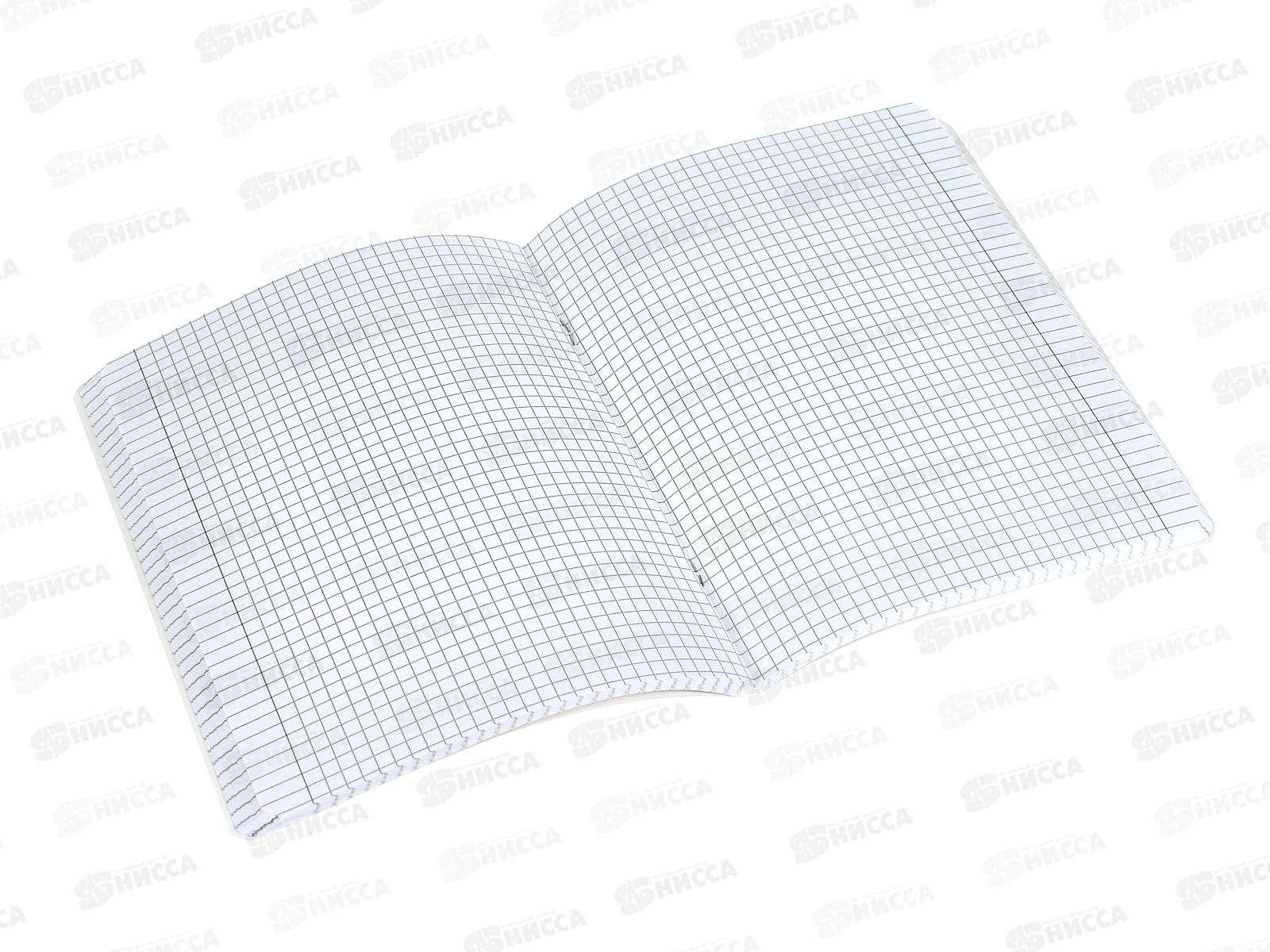 Тетрадь 96л кл. АКАД Леопарды EAC-14145/5 *10/30