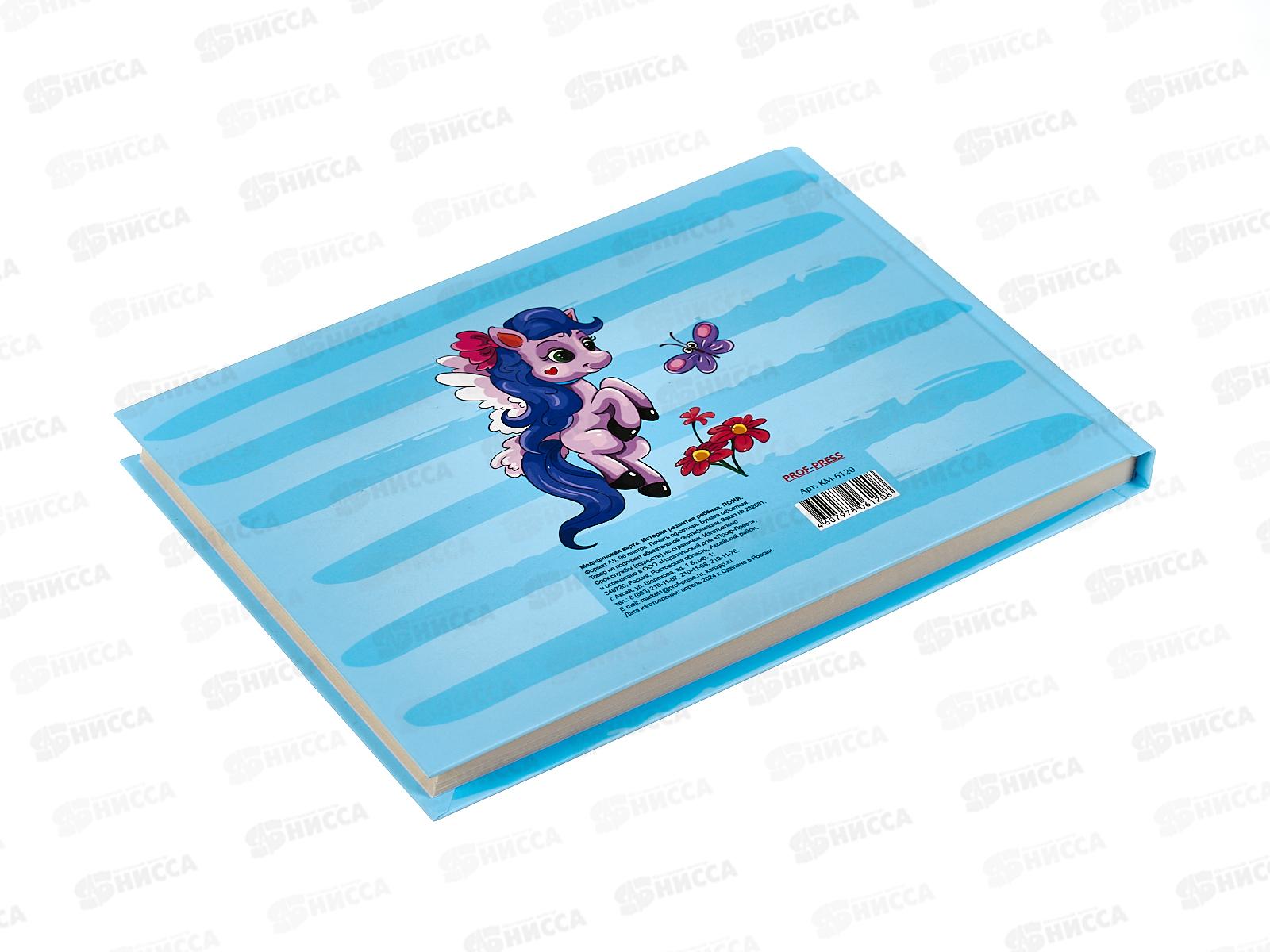 Медицинская карта ПП История развития ребенка. Пони, А5, 96л КМ-6120