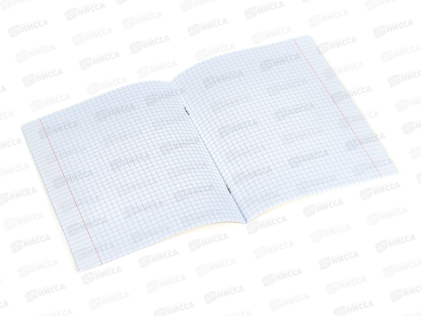 Тетрадь 24л кл. Hatber Плюшевые панды 089119 *10/100