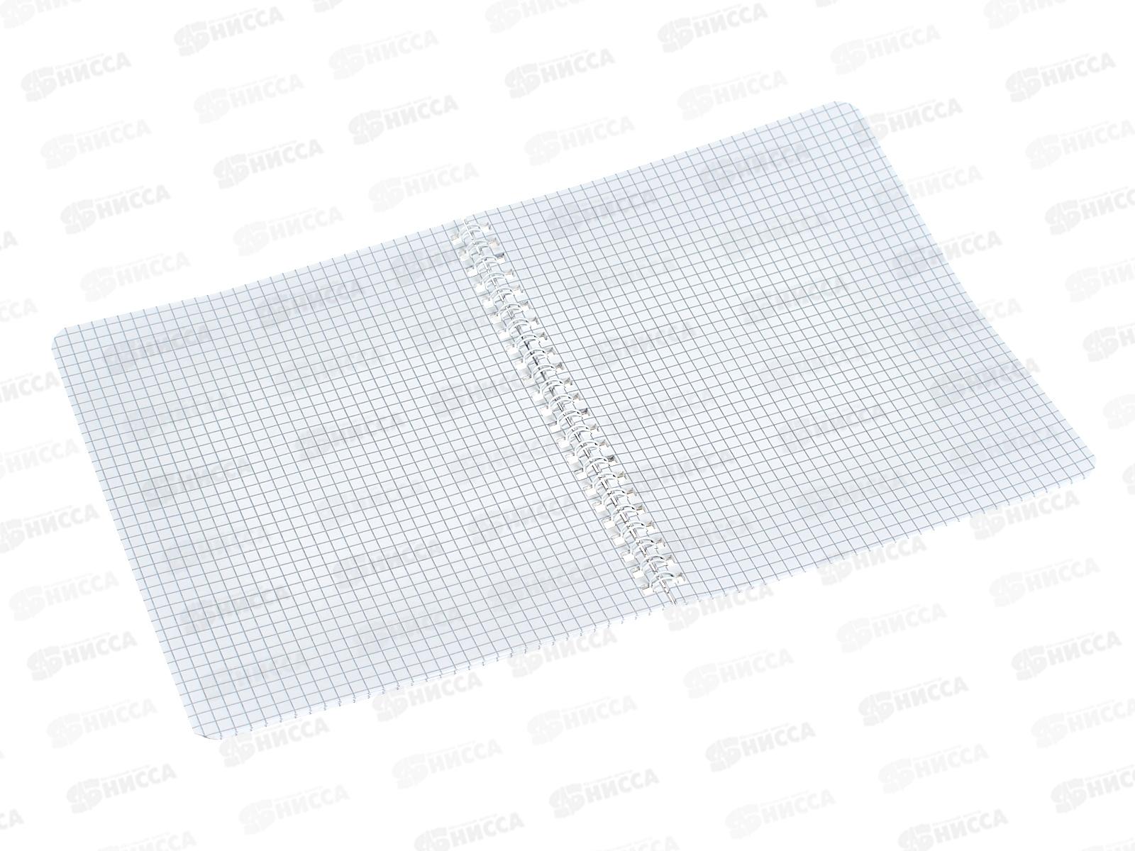 Тетрадь 48л кл. Hatber  Ассорти на гребне  *12/96