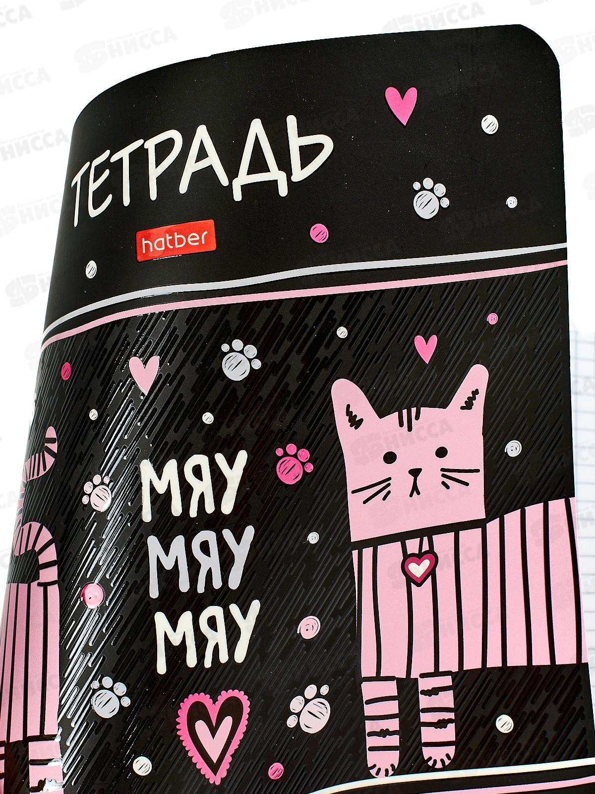 Тетрадь 48л кл. Hatber  Ассорти на гребне  *12/96