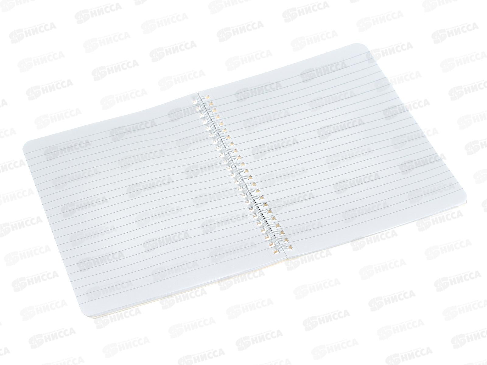 Тетрадь 48л лин. Hatber Узнай себя, греб.  087182 *4/96