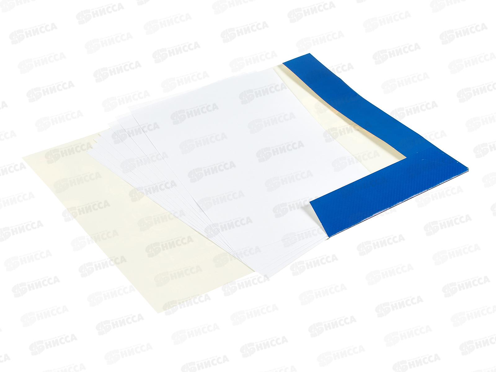 Папка д/рис. А4 10л Hatber, Аниме художница 30381 *30