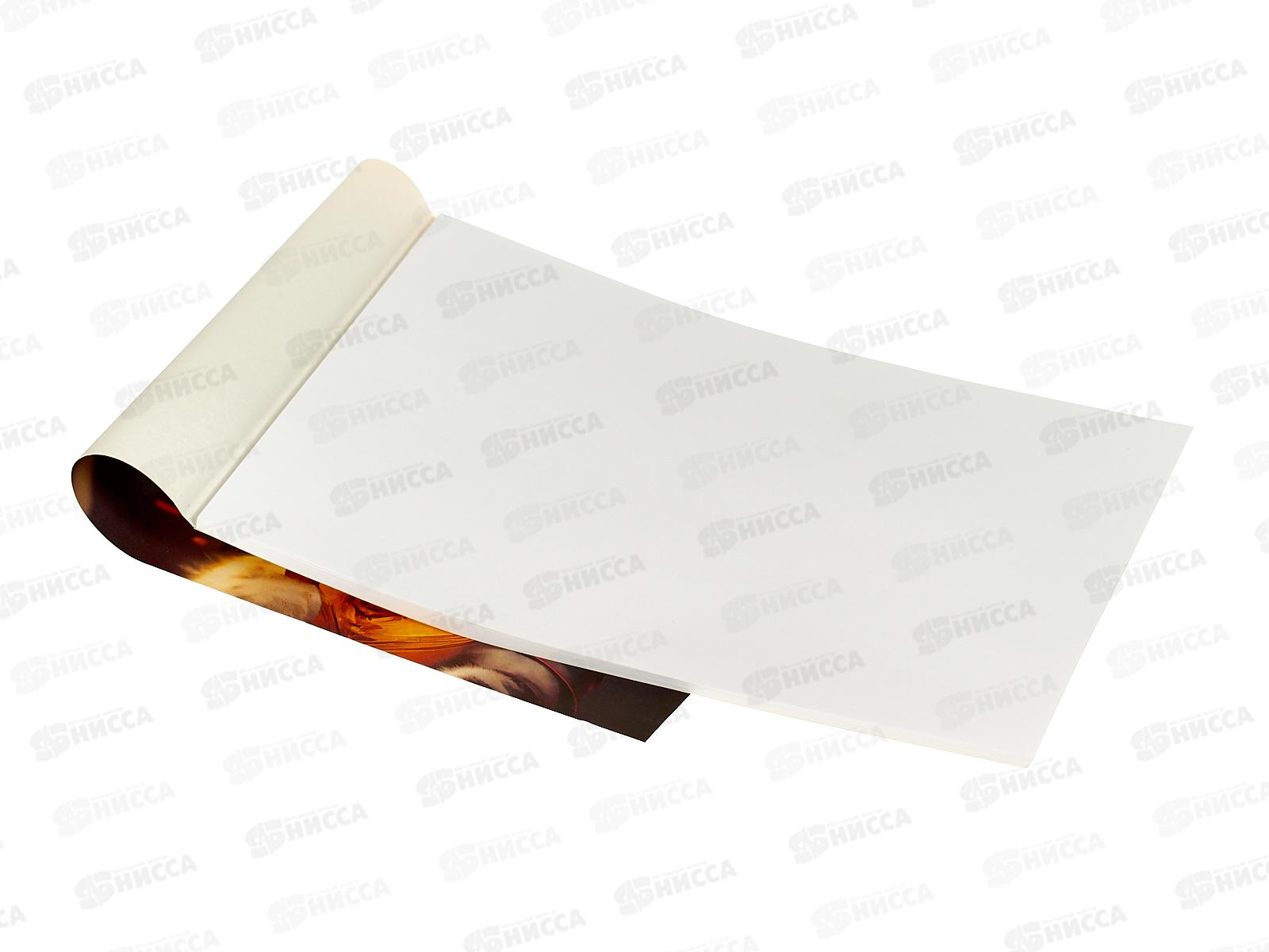 Альбом д/рис.40л ЭКСМ Легендарный кот,склейка А402618 *40