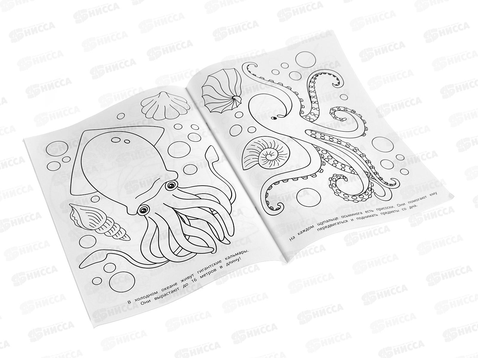 Раскраска &quotУМКА&quot 09785-3, Подводный мир., 214х290мм, 16стр. *50