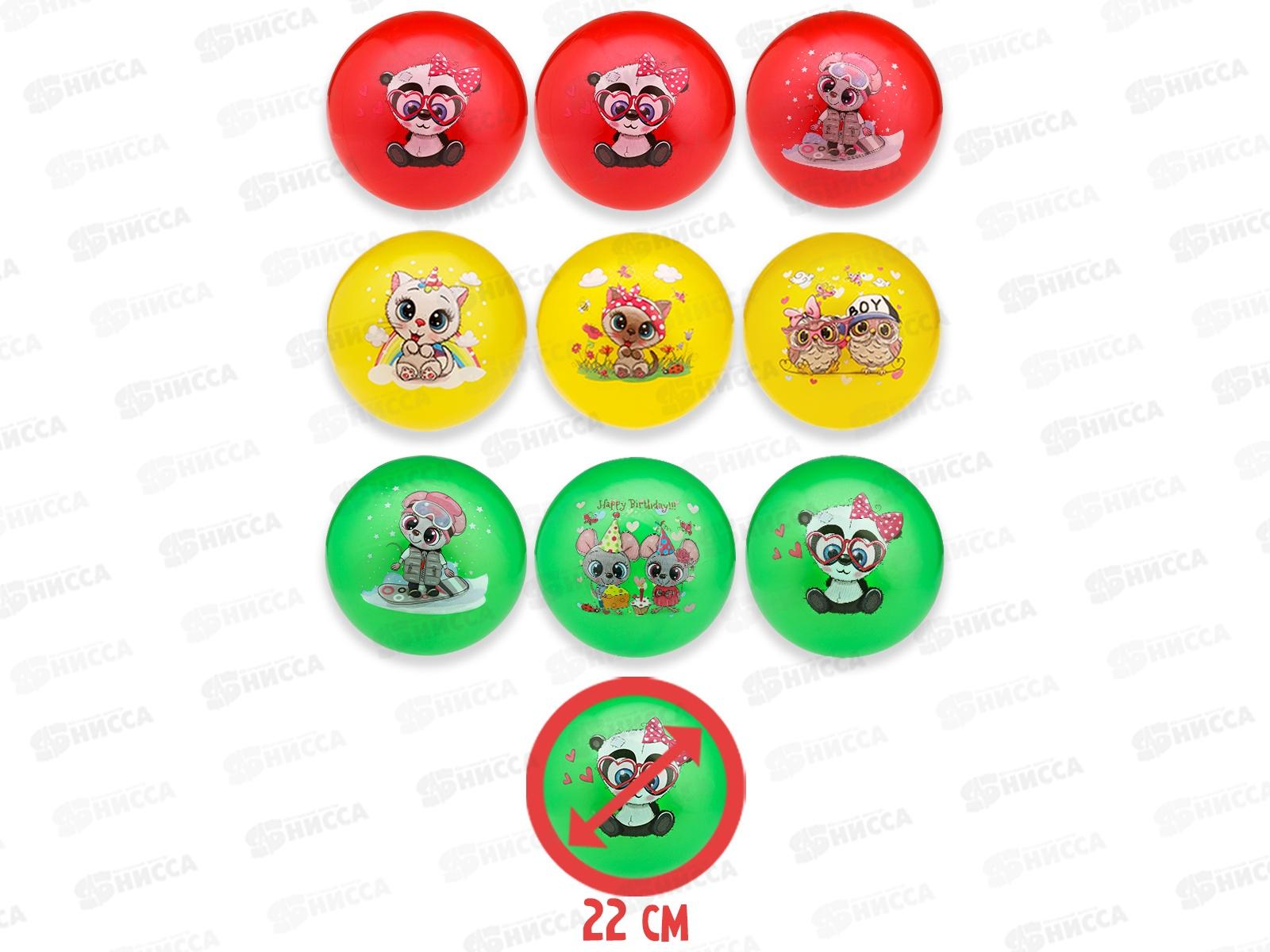 Мяч детский &quotЛюбимый питомец&quot 22см, цвет-микс, AN03380  *10