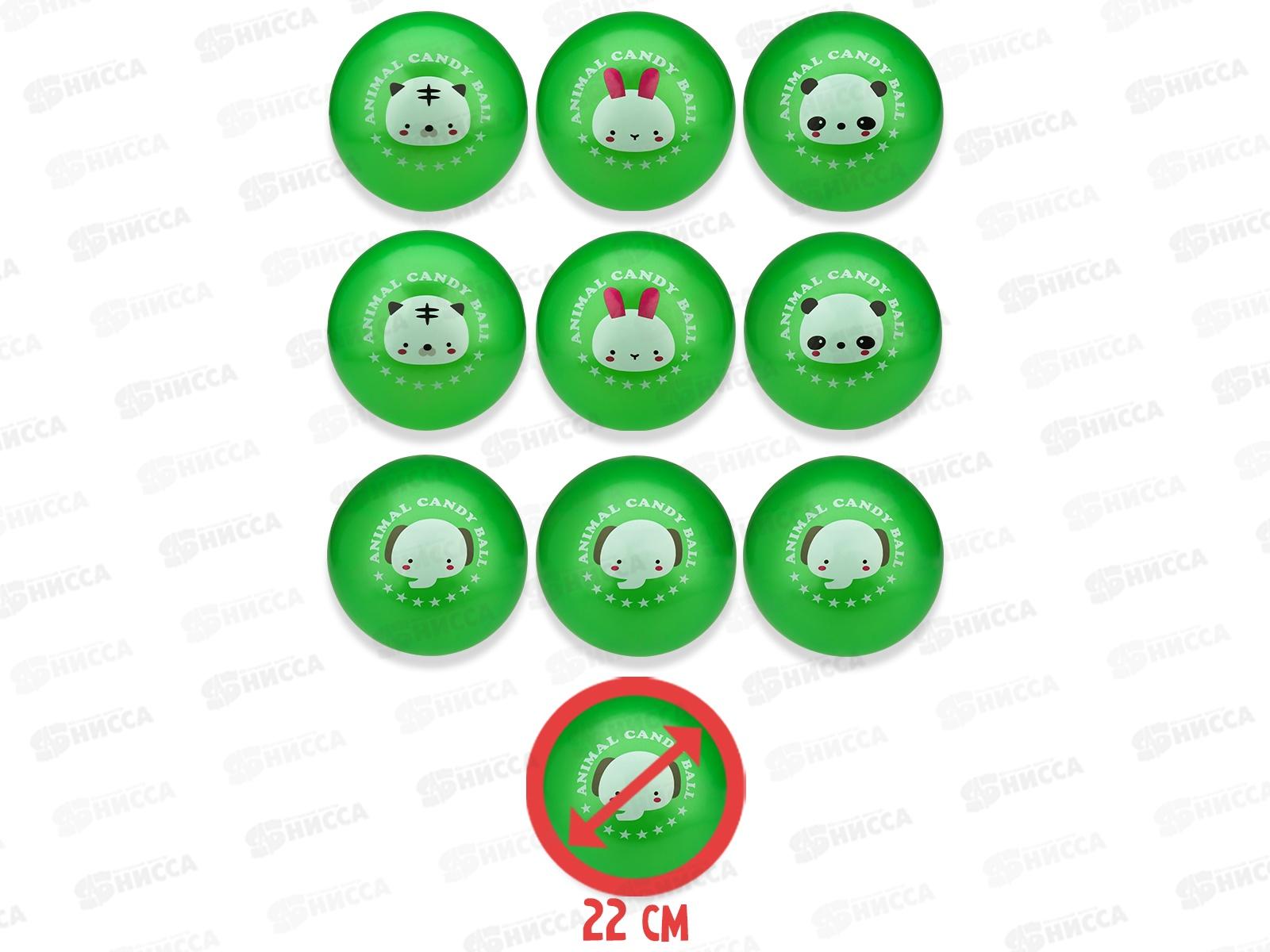 Мяч детский &quotМилый зверек&quot 22см, цвет-микс, AN03377  *10