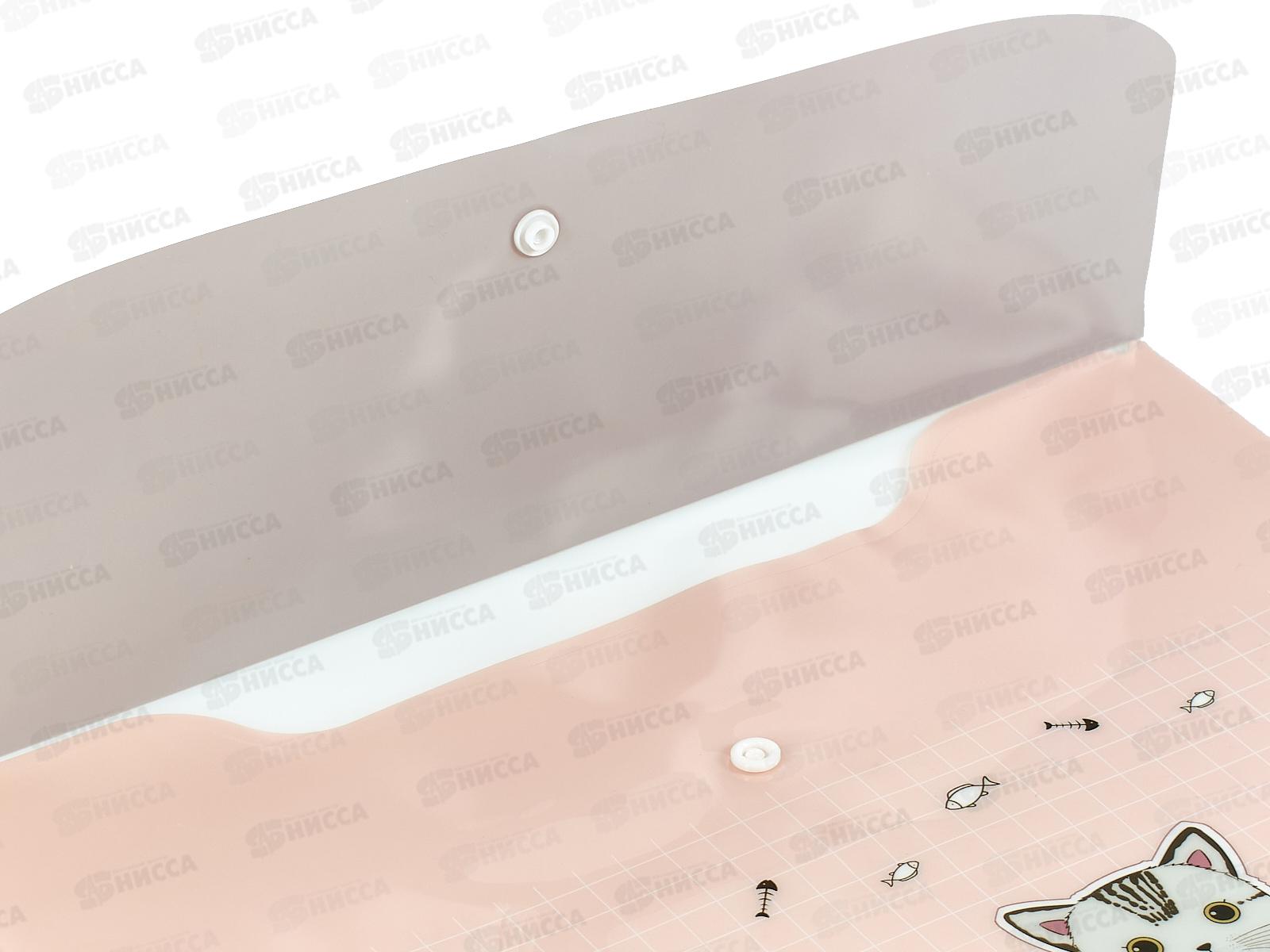 Папка с кноп. MAZARI CATDAY 33.5*23.5см 180мкм 4диз М-2523