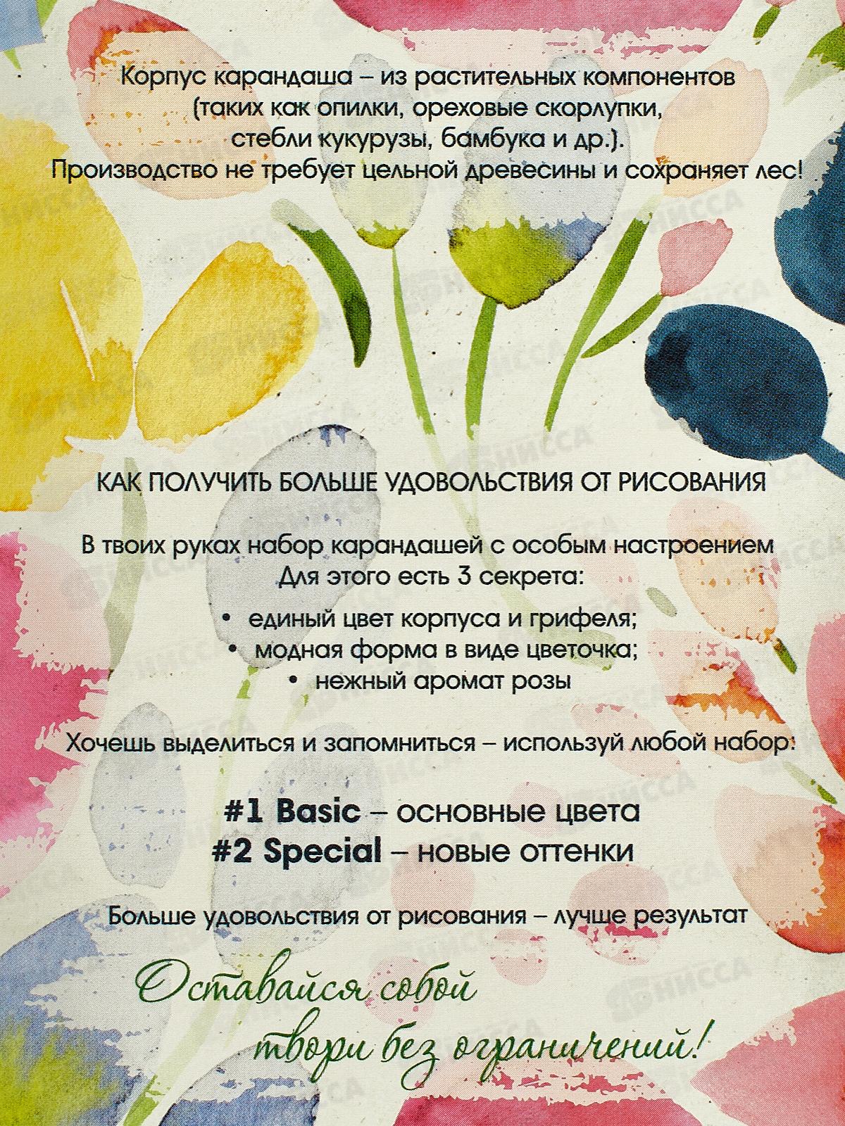 Карандаши 12цв Fine Line Basic,  BFP-12FR/B  *12