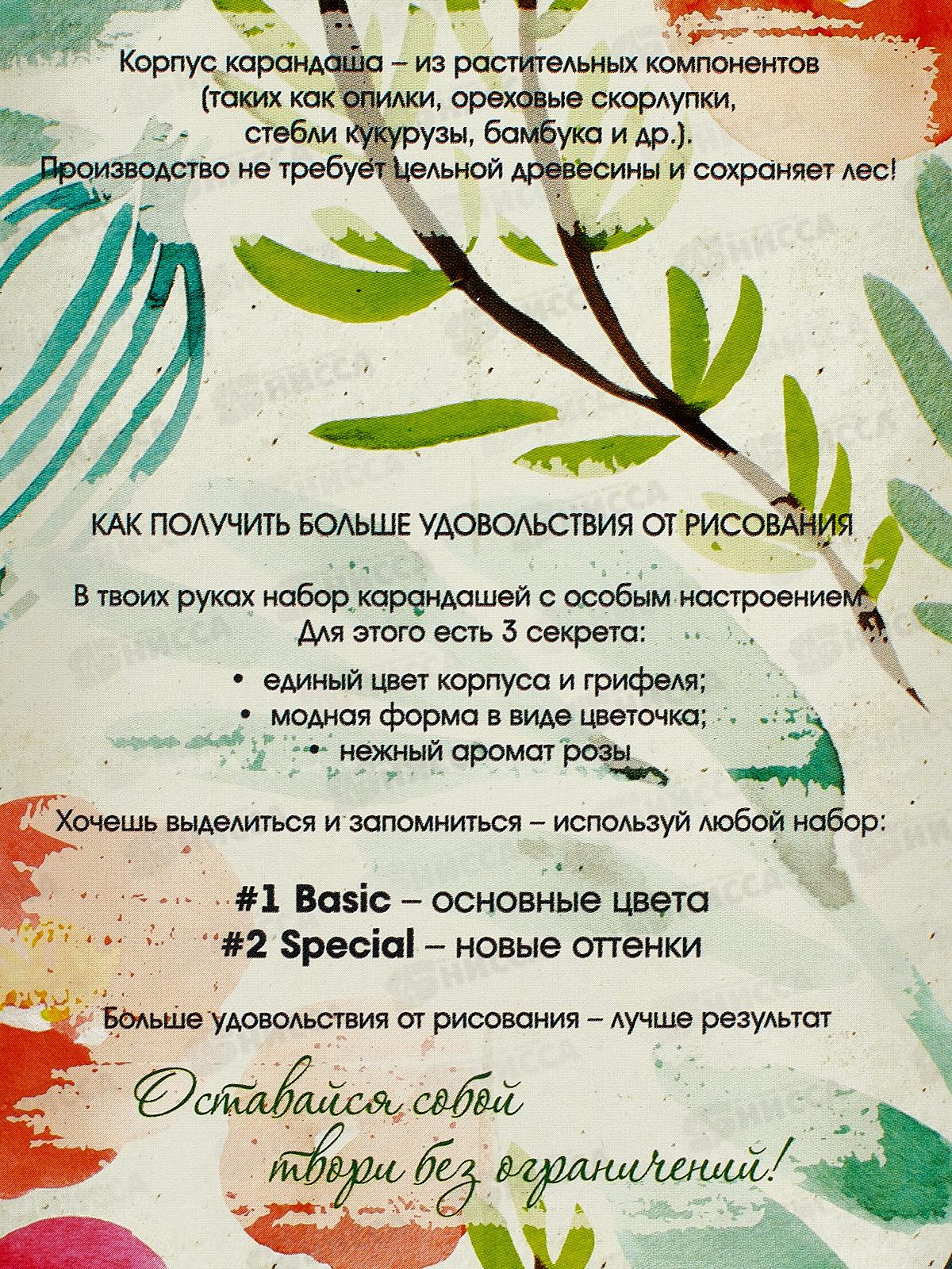 Карандаши 12цв Fine Line Special,  BFP-12FR/S  *12