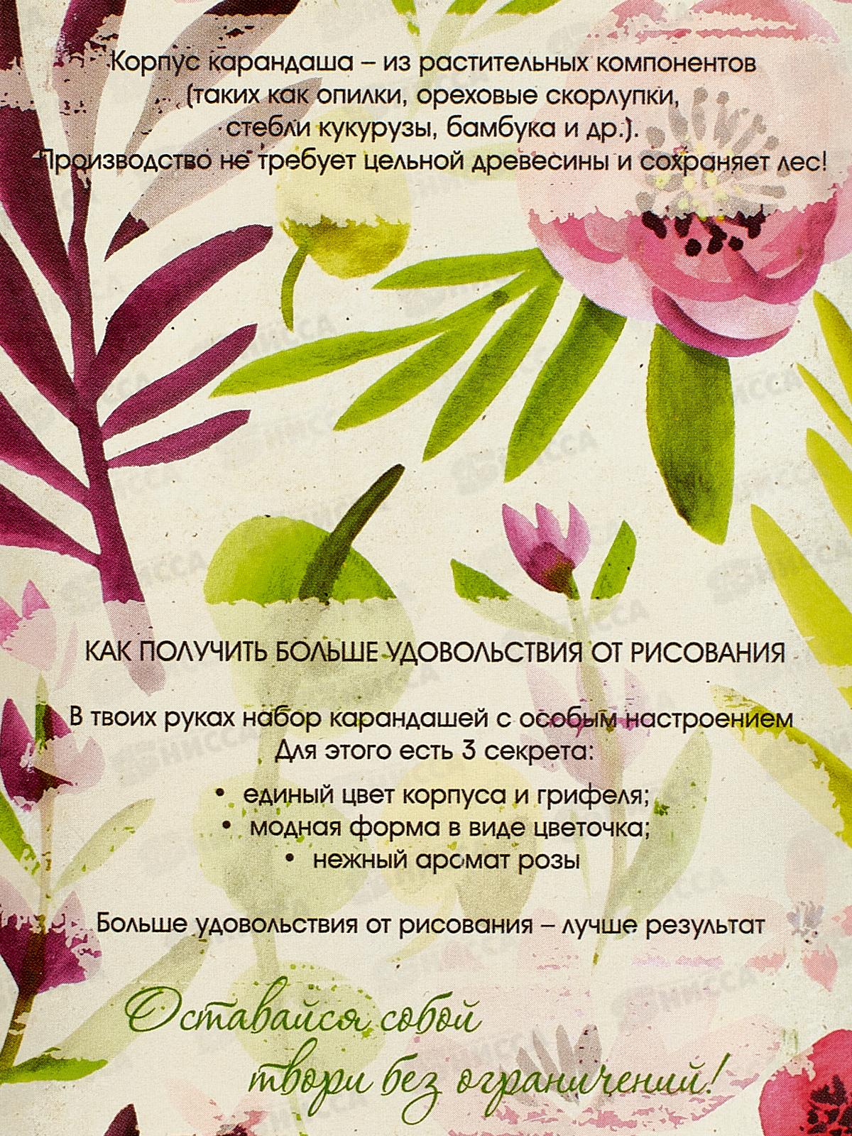 Карандаши 24цв Fine Line Maxi,  BFP-24FR  *6