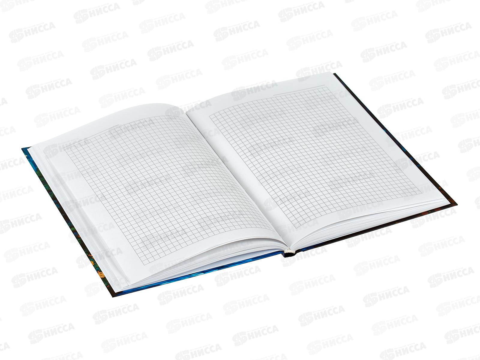 Кн.зап. АКАД А5 96л Водопад 15137-EAC *16