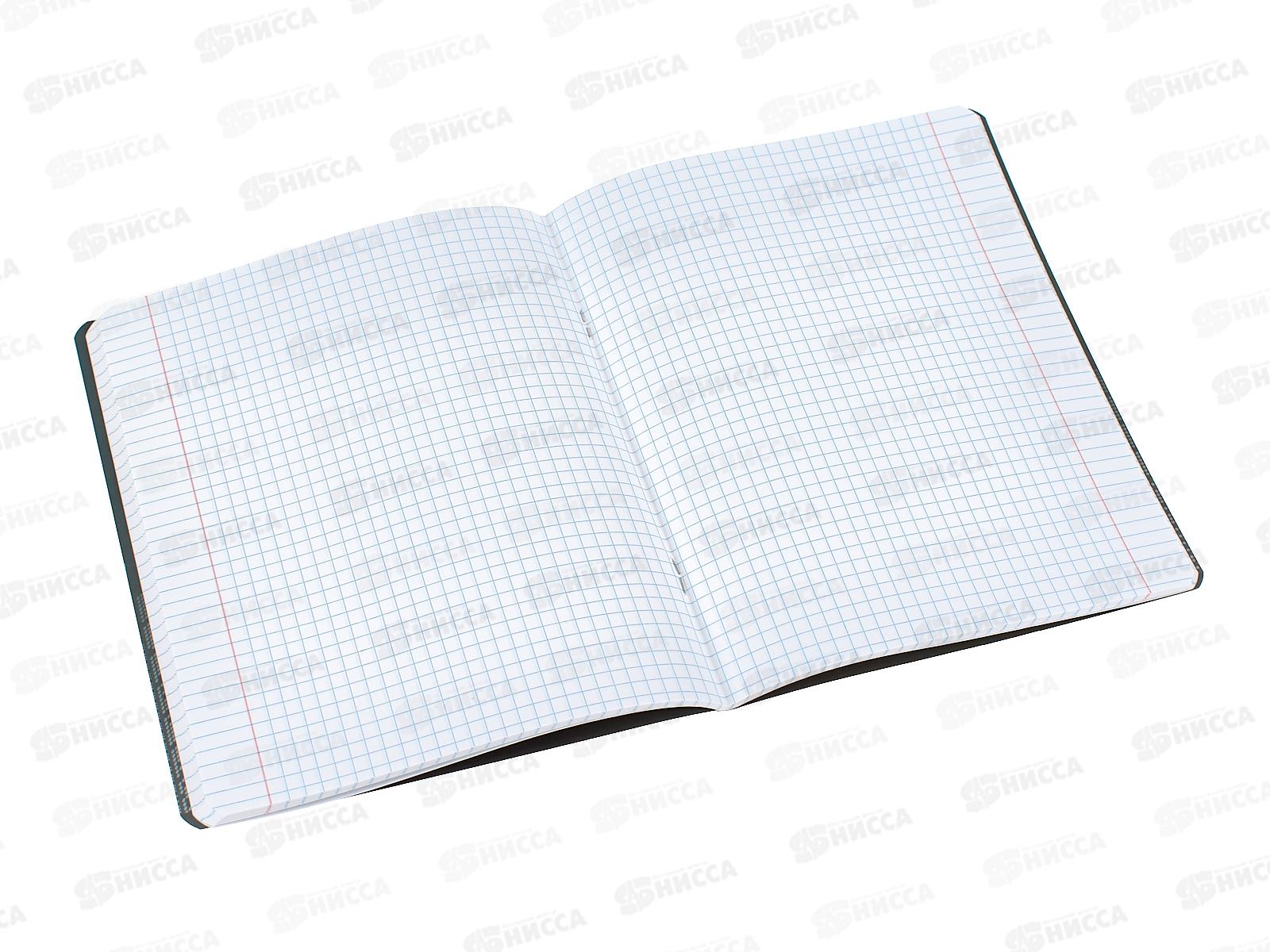 Тетрадь 48л кл. АКАД Sev Silver City Sev EAC-11782/5 *15/45