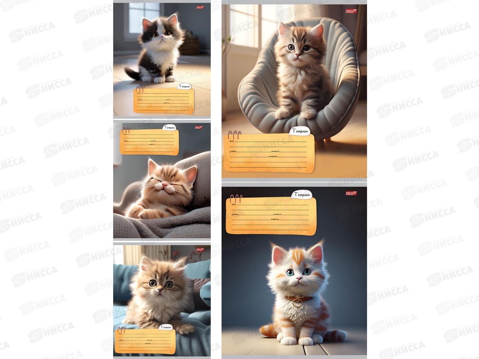 Тетрадь 24л линия Profit Котик дома, 5 диз., 24-5773 *20/160