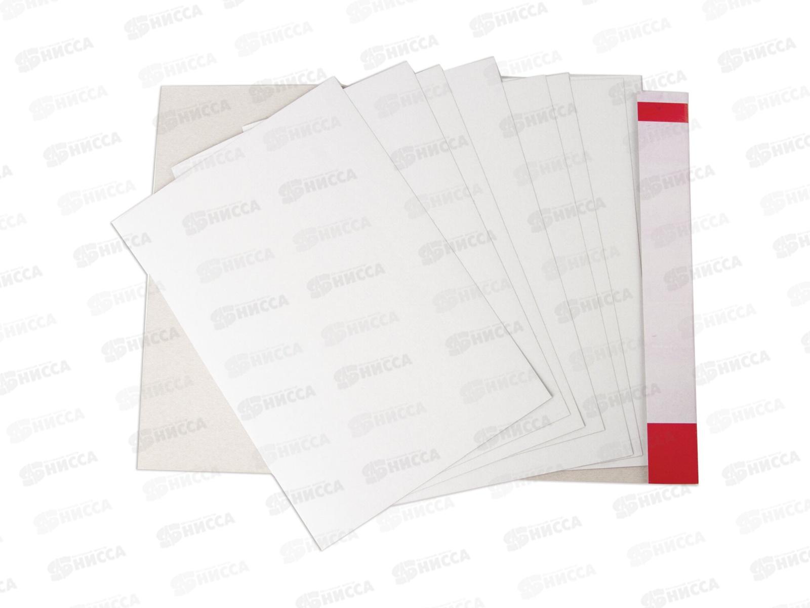 Картон Белый А4 BRAU  8л Барсик,129902   *60