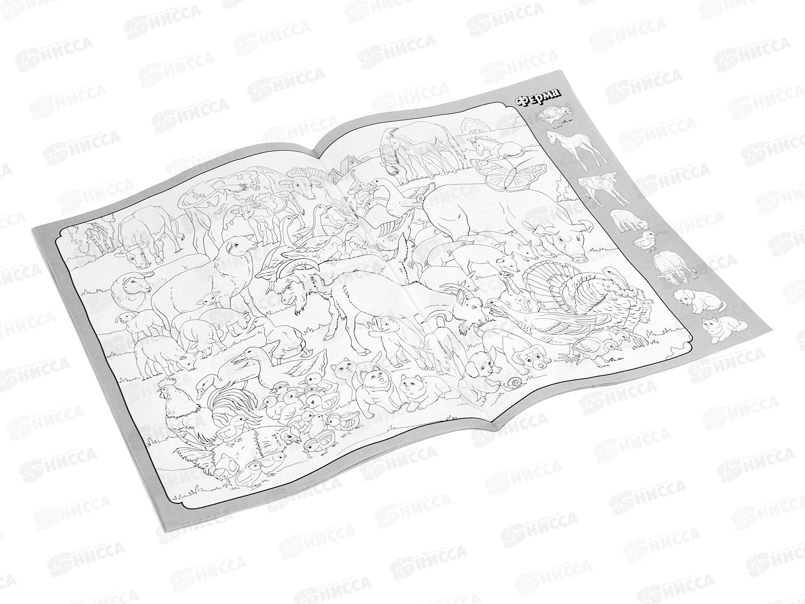 Раскраска &quotУМКА&quot 09815-7, Виммельбух. Животные, 214х290мм 16стр*50