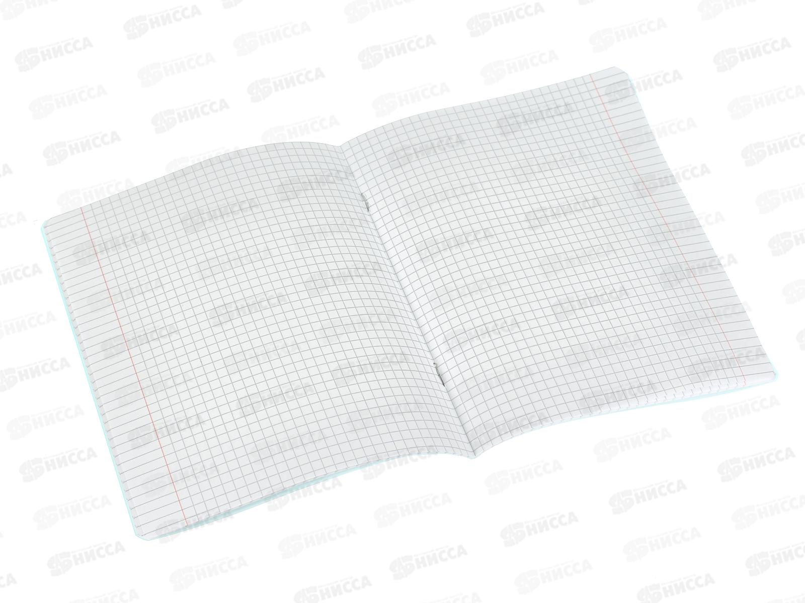 Тетрадь 24л кл. Hatber пластик.обл. скоба голубая, 083591 *10/100