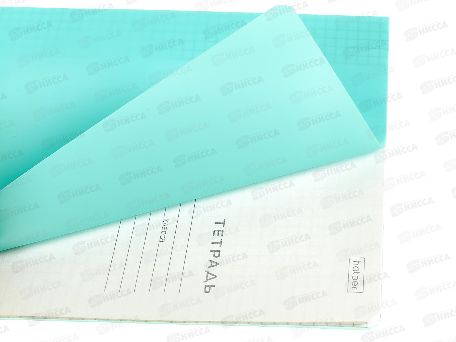 Тетрадь 24л кл. Hatber пластик.обл. скоба голубая, 083591 *10/100