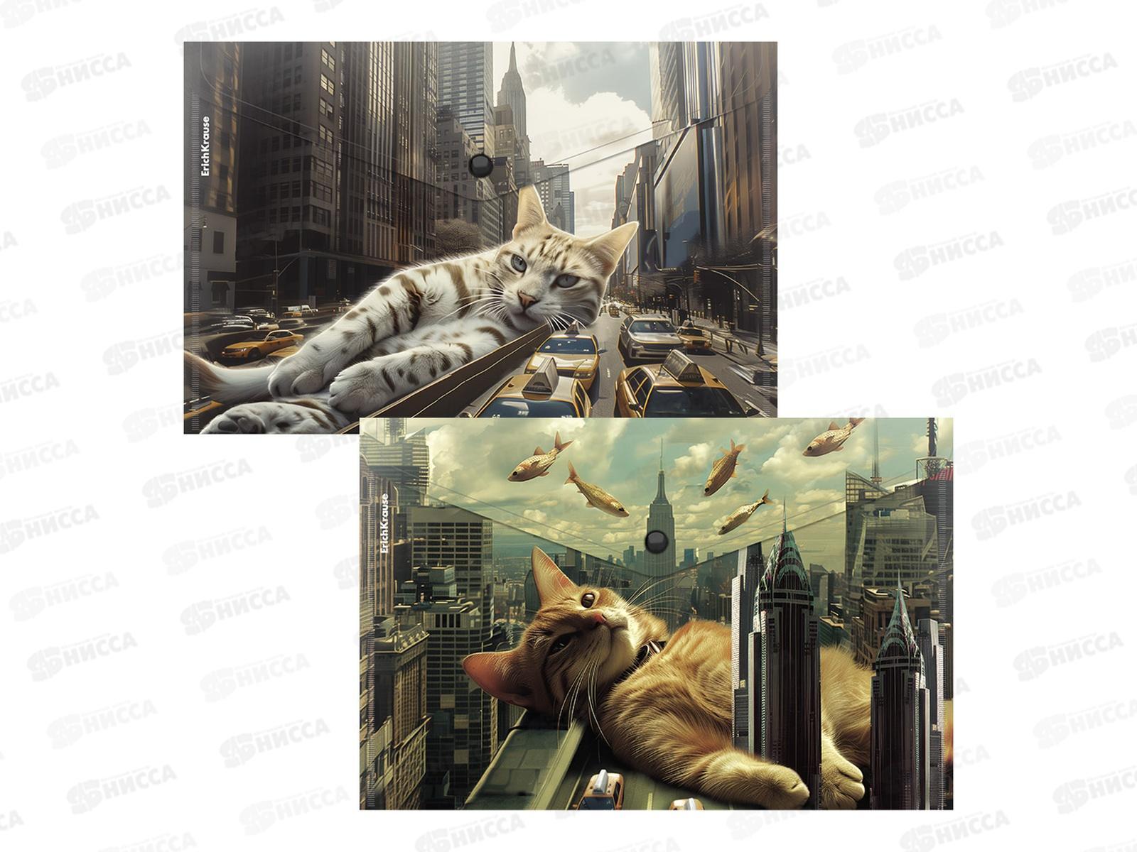 Папка-конверт пл. на кнопке EK Big City Cats А4, асс. 63511 *12