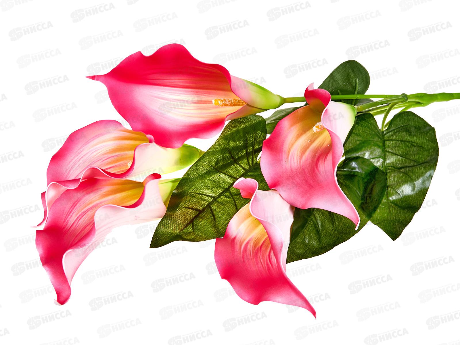 Букет 65см 5гол №84  81130 *20  Б