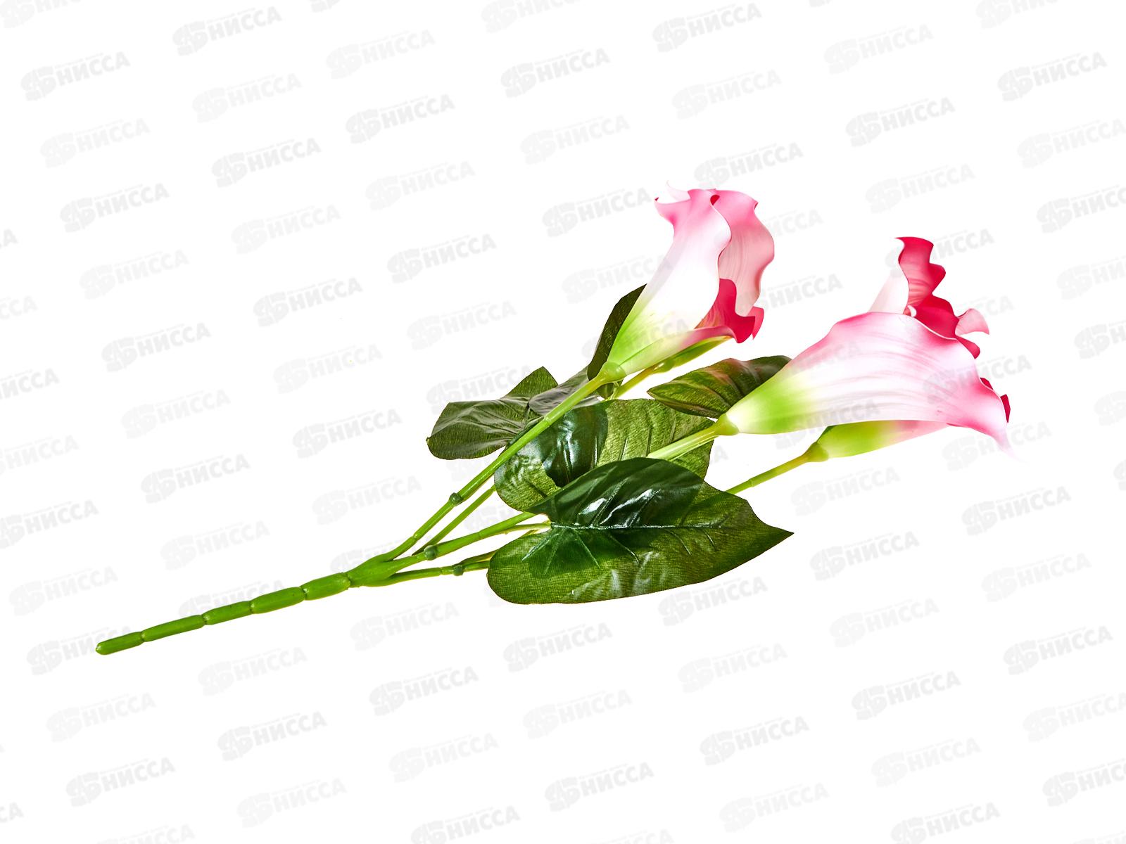 Букет 65см 5гол №84  81130 *20  Б