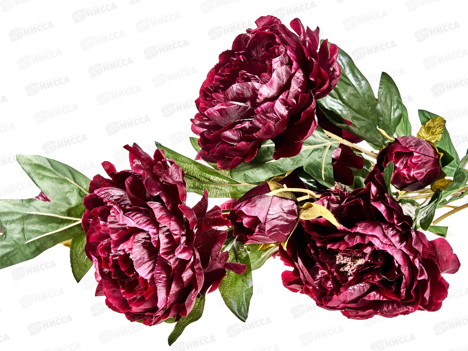 Букет 67см 5гол №171  81195 *10  Б